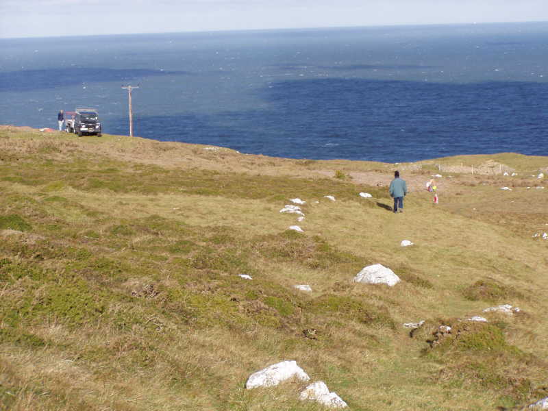 d i g   s i t e   