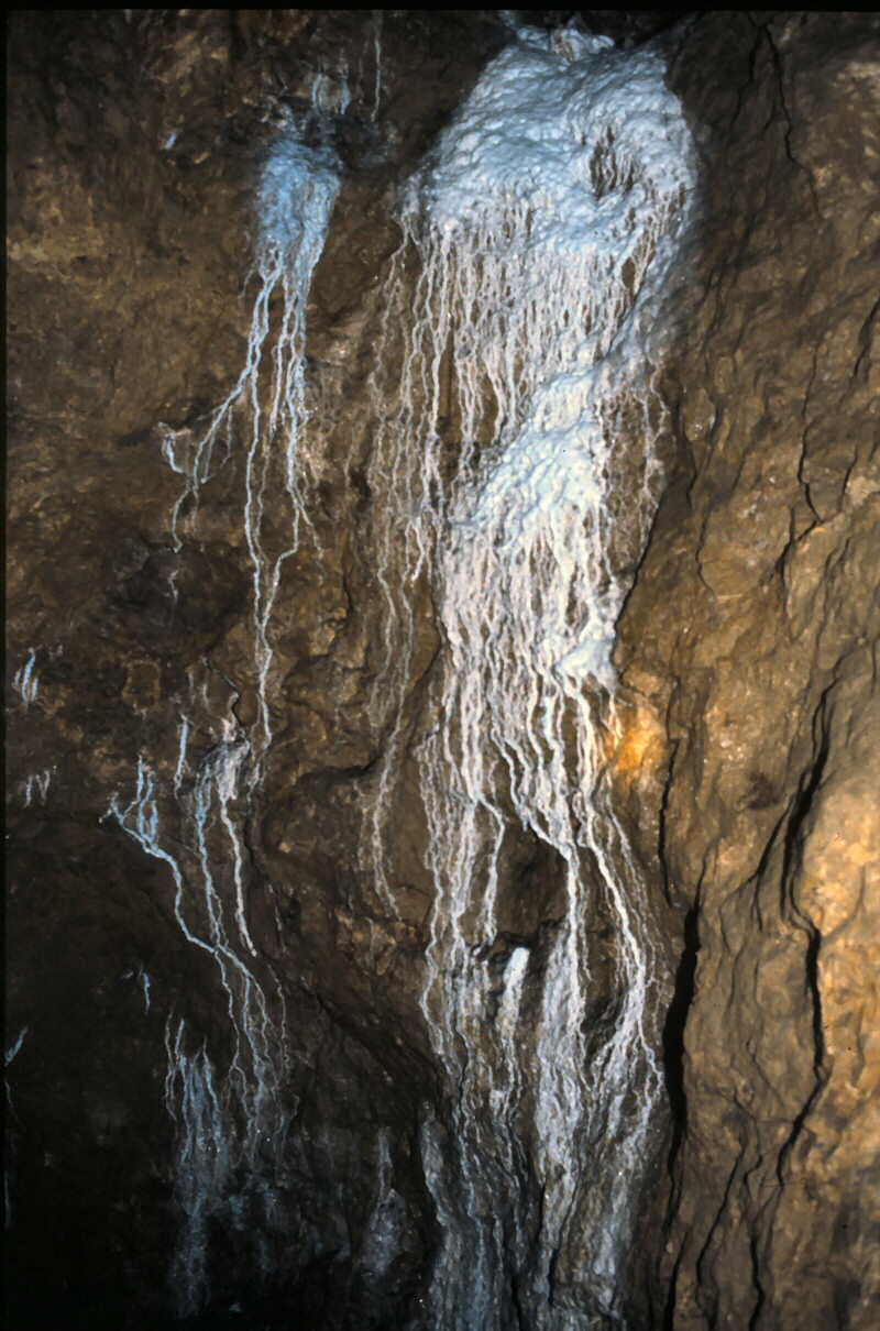 c a l c i t e   f l o w   