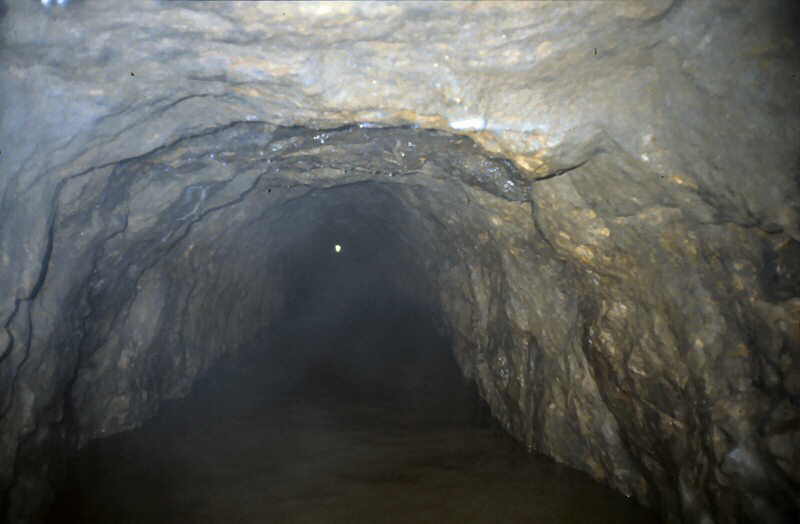 e x i t   l i g h t   d o w n   a d i t   