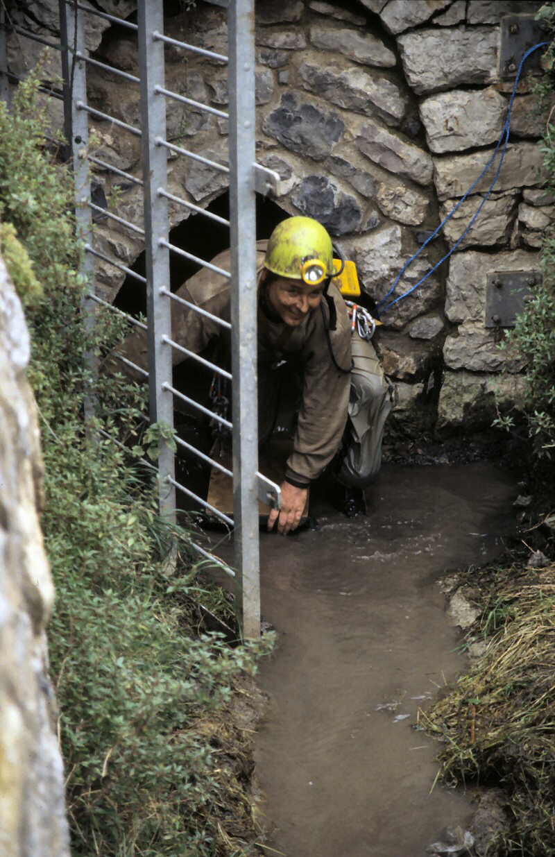 e x i t i n g   m a i n   a d i t   