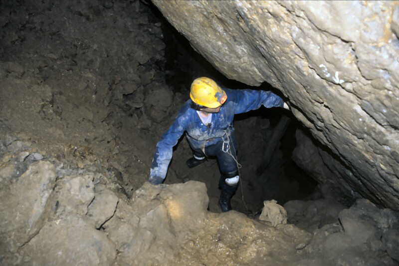 s t e v e   a b o u t   t o   c l i m b   