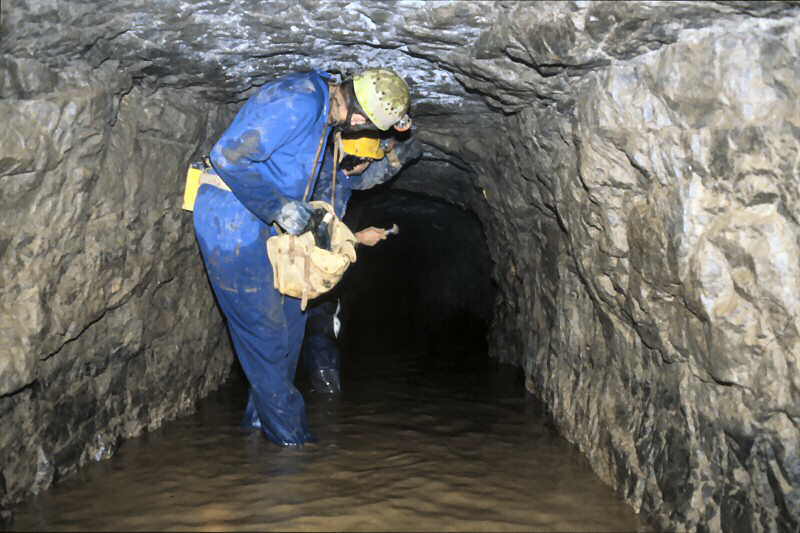 s t e v e   a n d   t o n y   i n   a d i t   s u r v e y i n g   