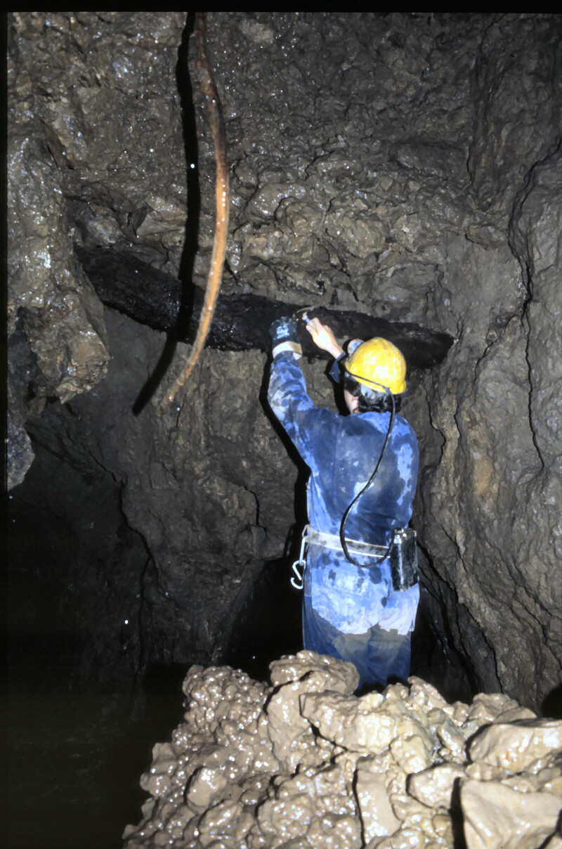 s t e v e   k n o c k i n g   n a i l   i n   s t e m p l e   