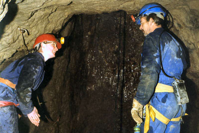 erik ali shaft