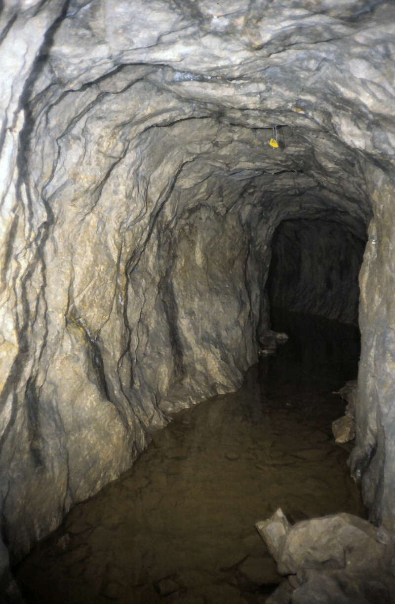 f l o o d e d   c r o s s   c u t   