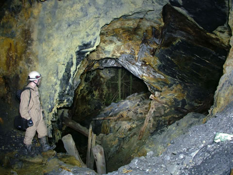 c a e   c o c h   