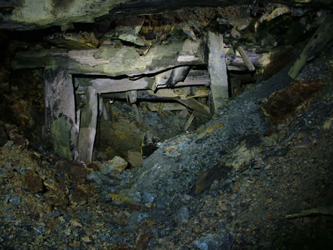 c a e   c o c h   