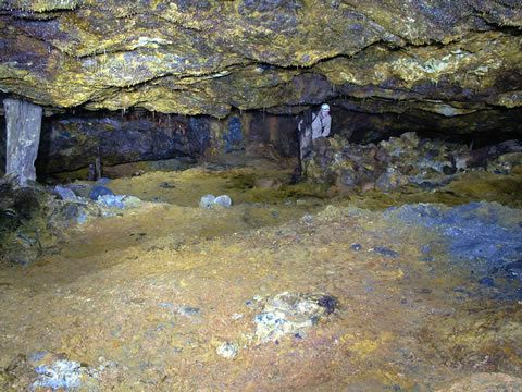 c a e   c o c h   