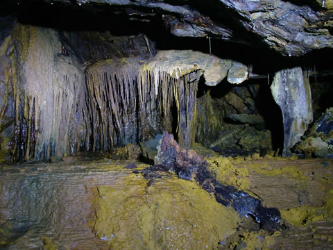 c a e   c o c h   