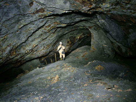 c a e   c o c h   