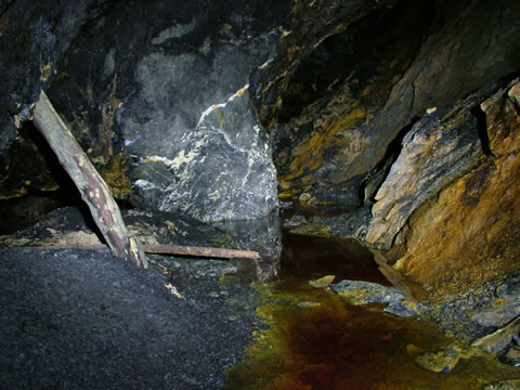 c a e   c o c h   