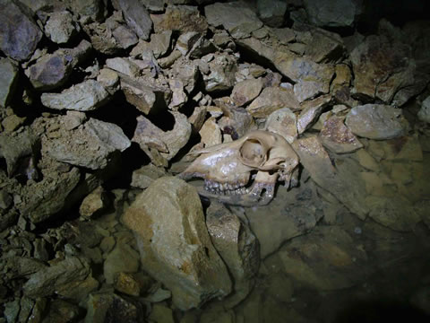 c o n w y   m o u n t a i n   m i n e   