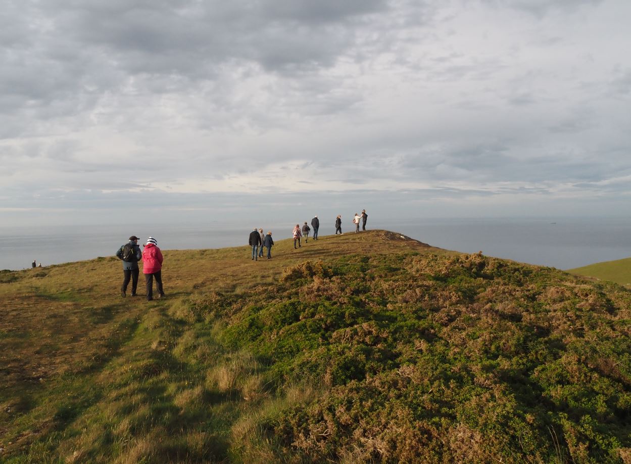 GOES logo